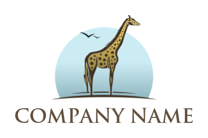 create animal logo icon giraffe with birds flying