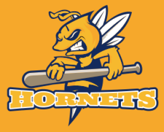 hornet mascot logo with baseball bat