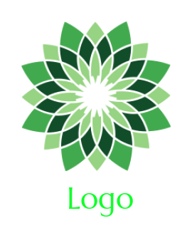 spa logo online nature of flower petals mandala 