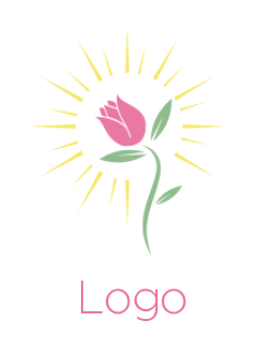 make a beauty logo rose with stem in rays - logodesign.net