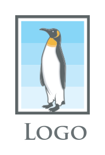 animal logo icon penguin in frame