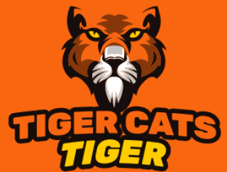 animal logo symbol sober tiger face mascot