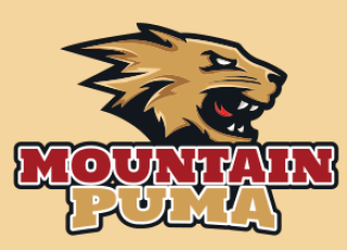 sports logo puma face mascot