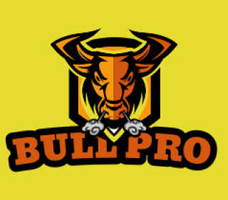 mascot logo image angry bull face