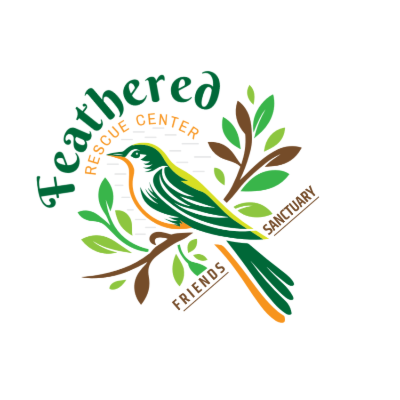 illustrative bird on branch with leaves