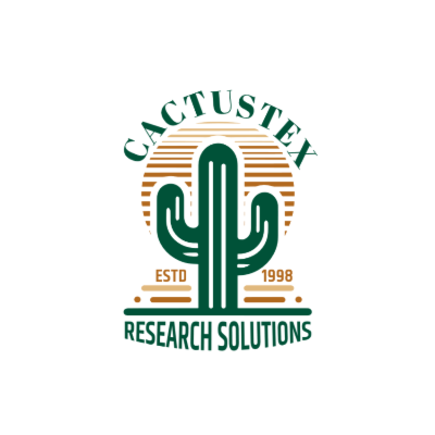 cactus and lines sunset