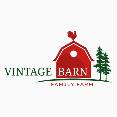 rooster standing on barn house and pine trees