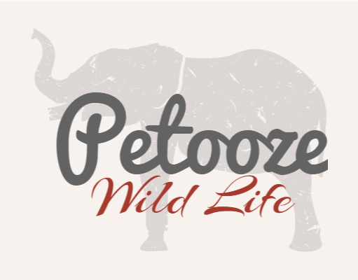 tourism logo online elephant behind text