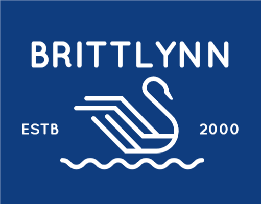 logistics logo line art swan swimming