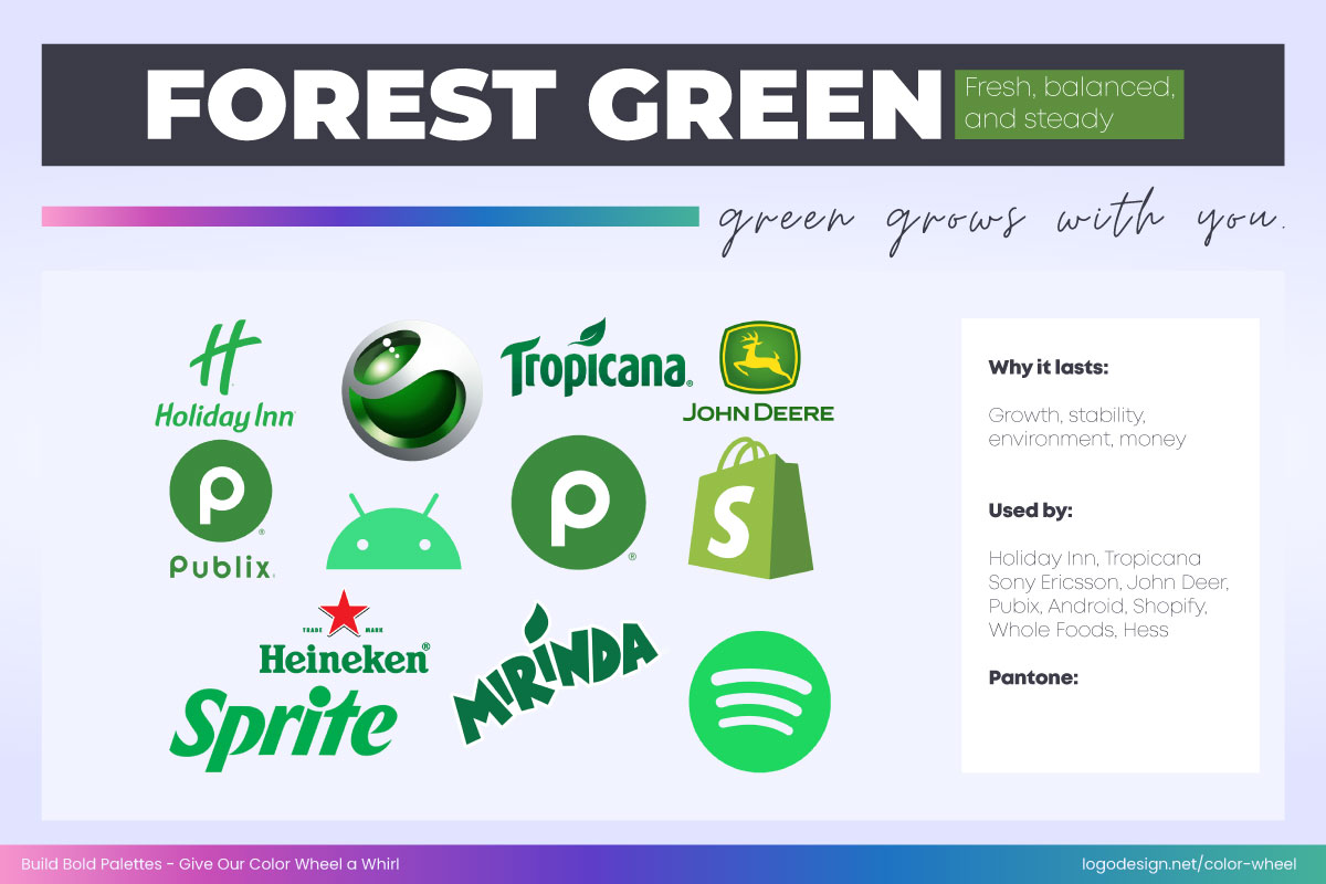 Forest Green Color Forest Green Color