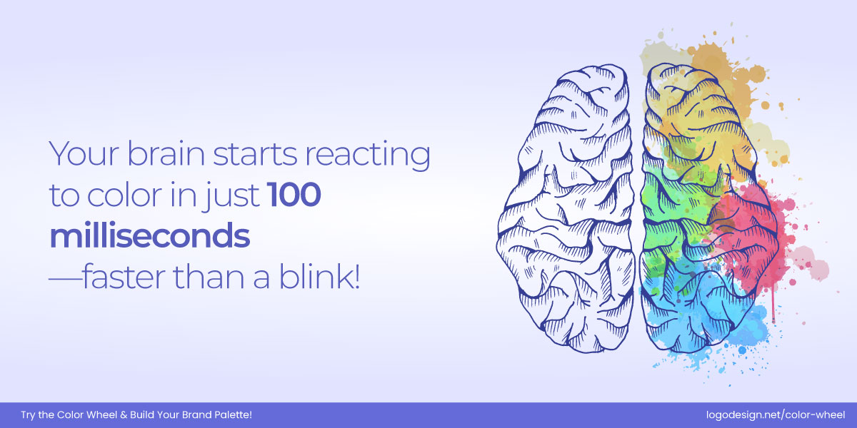 Your brain starts Your brain starts