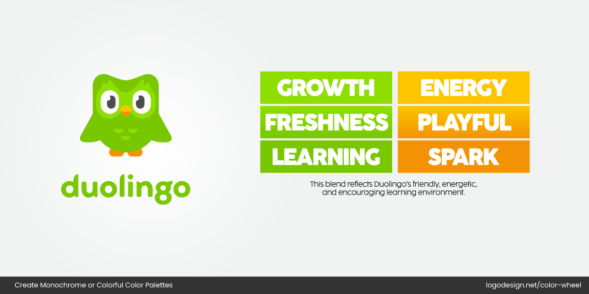 Duolingo Logo Color Duolingo Logo Color