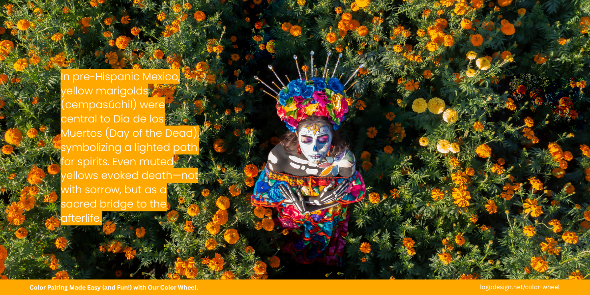 Marigold Yellow in Mexico Marigold Yellow in Mexico