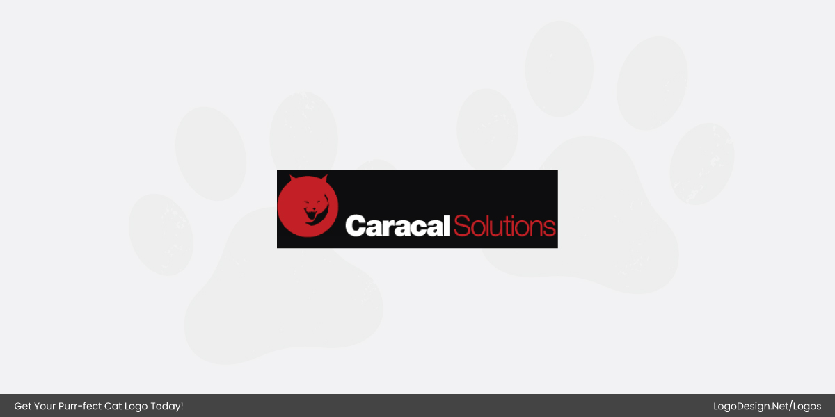 caracal solutions logo caracal solutions logo