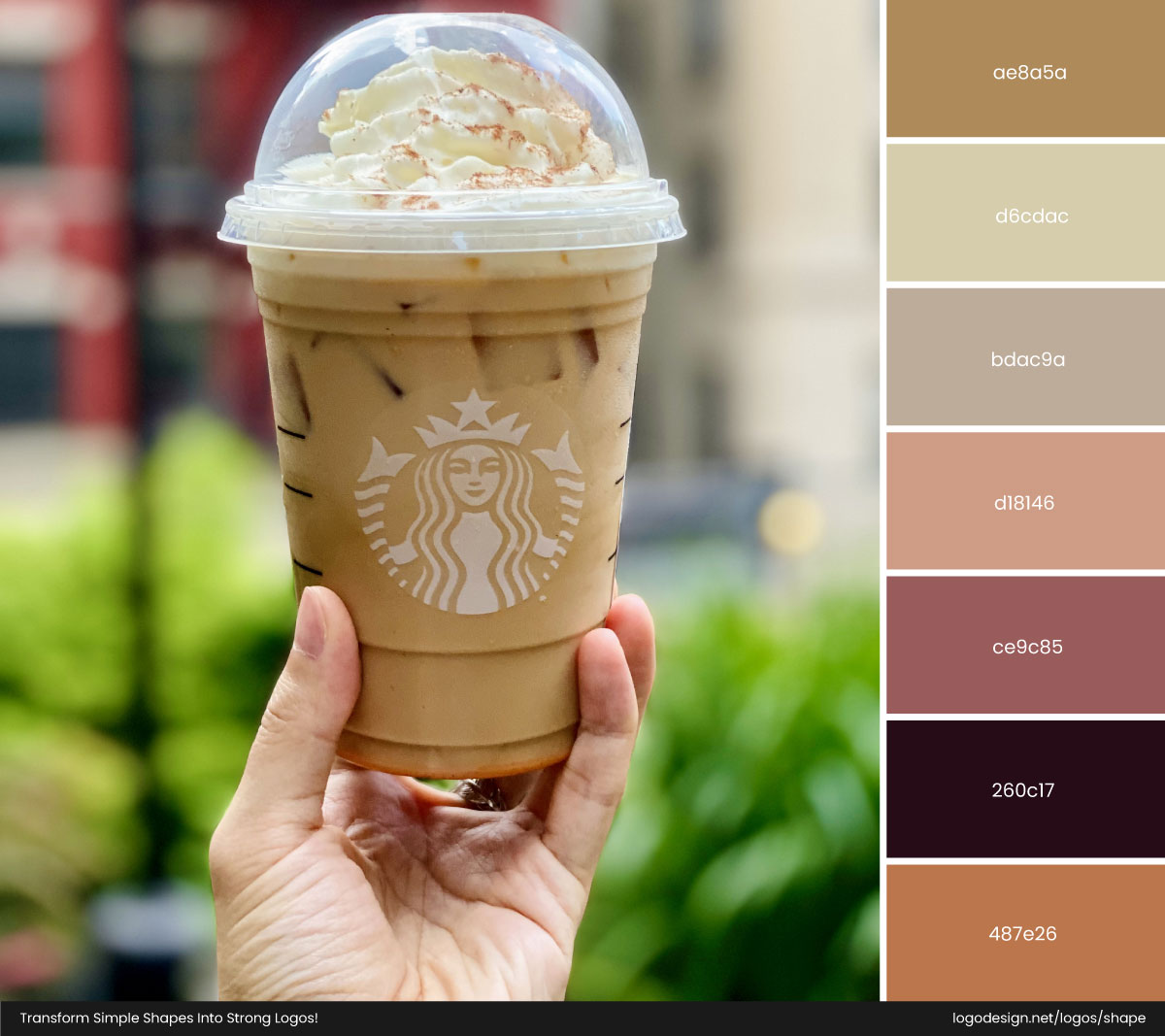 Starbucks Pumpkin Spice Color Palette
