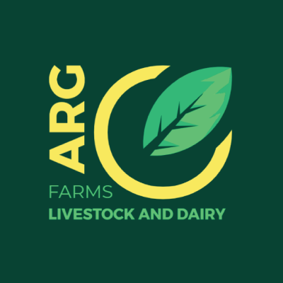 Youtube Channel Logo