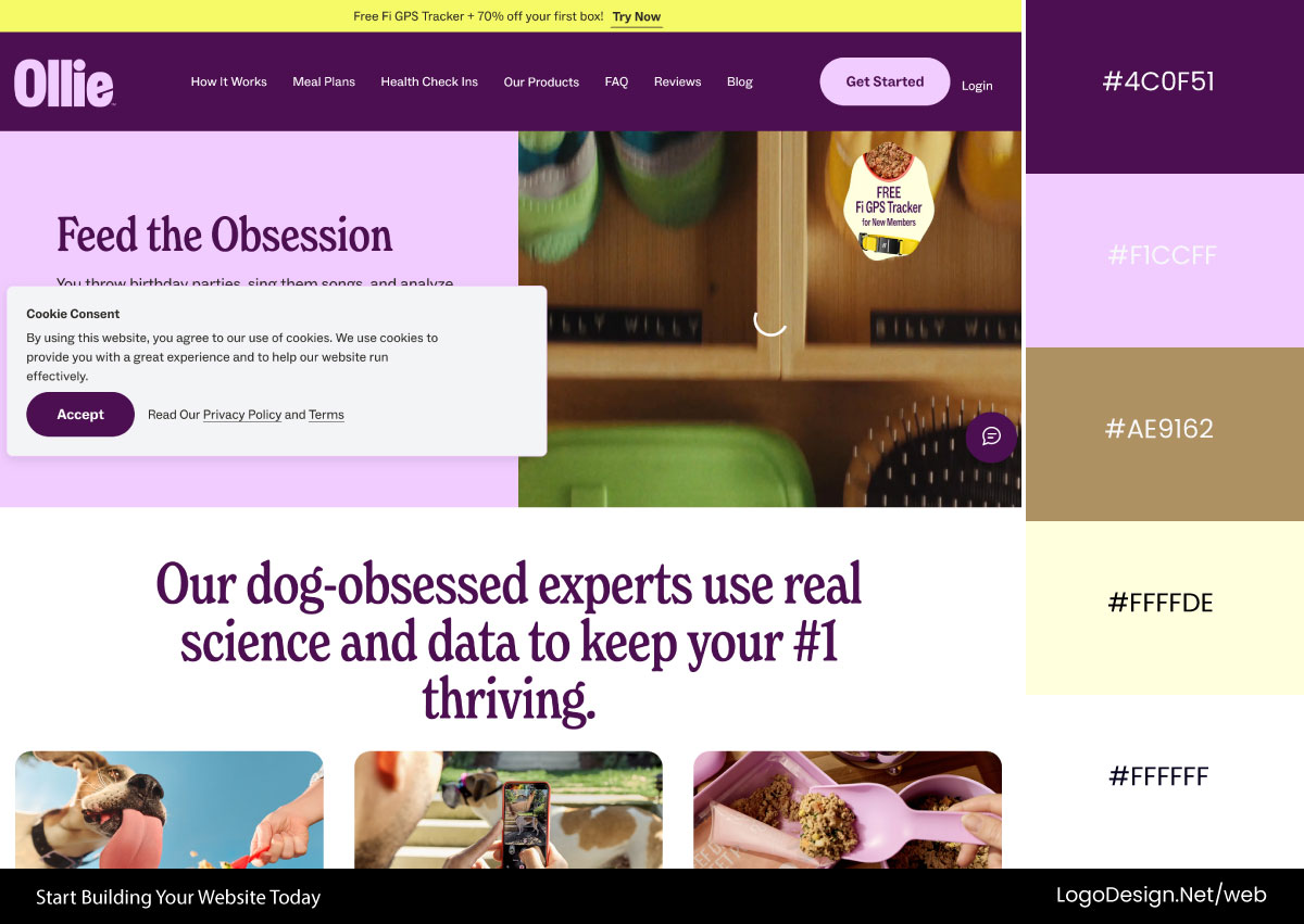 Ollie Website Color Palette Ollie Website Color Palette