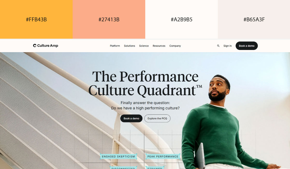 Culture Amp Culture Amp
