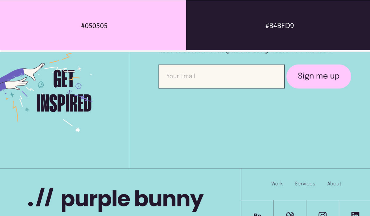 Purple Bunny Purple Bunny