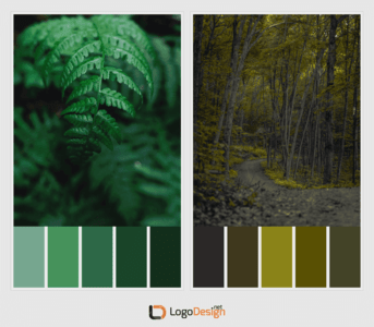Freeform Gradient - Color Palette 3