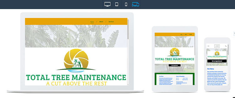 Preview of published website layout