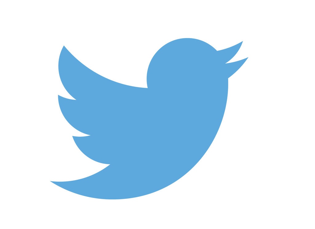 Twitter Bird Icon