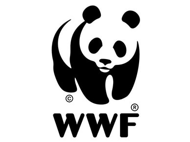 Famous Logos Fun Facts - WWF Logo