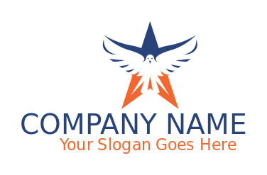 abstract eagle in star 