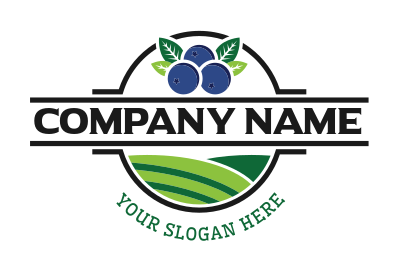 blueberry logo with fields