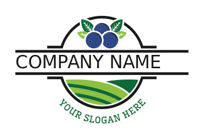 farm logo blueberry with leaves in fields