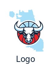 bull head in basketball Chicago team