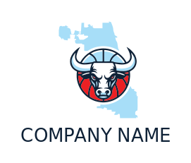 bull head in basketball Chicago team