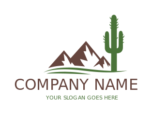 cactus and mountains