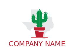 cactus in grey Texas map