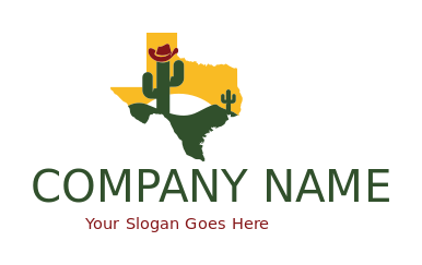 cactus wearing cowboy hat in Texas sun