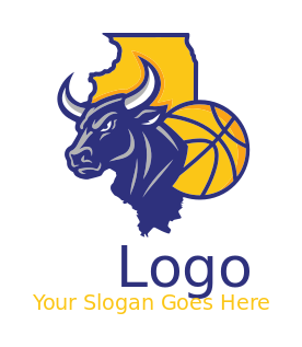 Chicago bull basketball in map