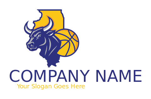 Chicago bull basketball in map