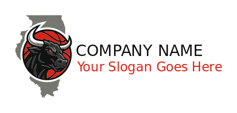 Chicago bull in basketball and map