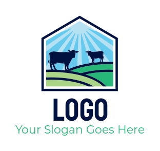 agriculture logo cows in dairy farm under sun