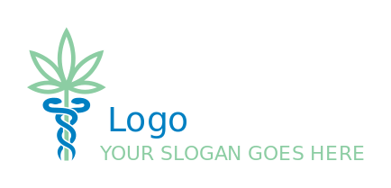 medical logo doctor herb with caduceus