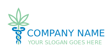 medical logo doctor herb with caduceus