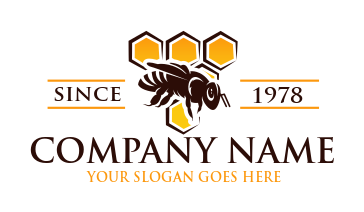 honey bee in front of hexagon comb logo idea