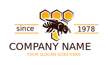 honey bee in front of hexagon comb logo idea