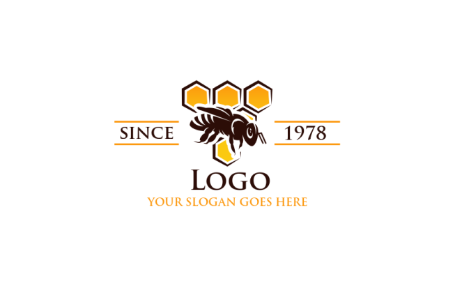 honey bee in front of hexagon comb logo idea