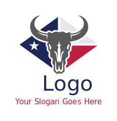 Longhorn skull in Texas flag in diamond