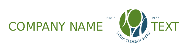 sports logo tennis racket in circle