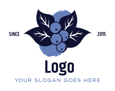 farm logo blueberries with leaves