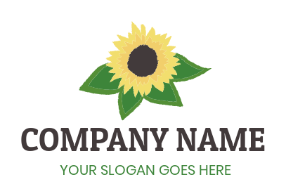 create an agriculture logo sunflower with leaves