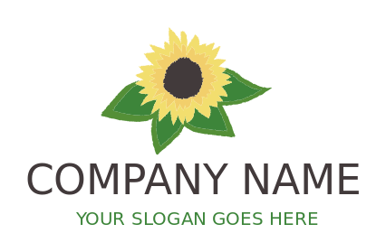 create an agriculture logo sunflower with leaves