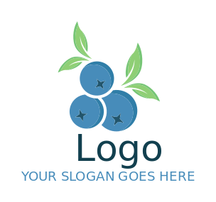 food logo online three blueberries